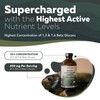 MycoMax Lion's Mane Extract - 70% Beta Glucans Healthcare