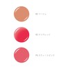 d Program Lip Moist Essence Color PK Sweet Pink for