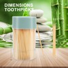 TRTRin Bamboo Toothpicks [3000 Count] - With Reusable Toothpick Holder,