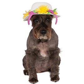 Kentucky Derby/Easter Bonnet Pet Hat, Small/Medium