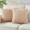 Soleebee Set of 2 Throw Pillow Covers Soft Cozy Velvet