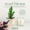 KOBO Rustic Pine Votive Trio - 3 Scented Candles with