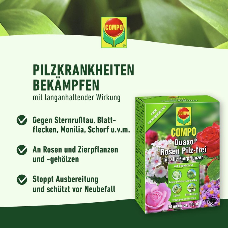 COMPO Duaxo Rose Mushroom