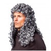 ORLOB KARNEVAL GmbH Curly Wig Judge Gray Nobleman Lord Nobleman