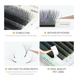 ANNAFRIS 5D Eyelash Extension Premade Fan W D Curl 9 mm Pre-Fanned Ready-to-Use Fan Eyelash Extension 5D Russian Volume Eyelash Extension Cluster Artificial Lash (0.07-D 9 mm)