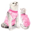 LIANZIMAU Cat Bodysuit After Surgery Castration Cat Bodysuit After Surgery