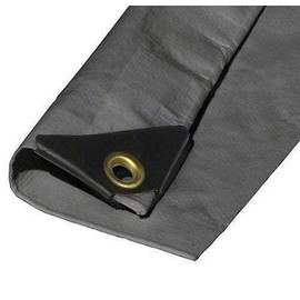 10'X30' EXTRA Heavy Duty 12 mil Silver Tarp 3 Ply Coated Reinforced Canopy 6 oz 3 Layer (Includes Tarps Tools and Toys Maintenance Manual)