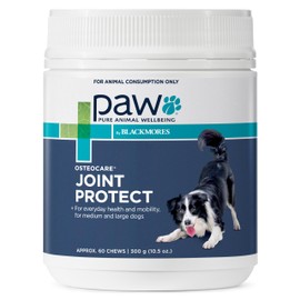 PAW by Blackmores Osteocare® Joint Protect for Dogs | Improves Joint Function & Mobility |60 Chews
