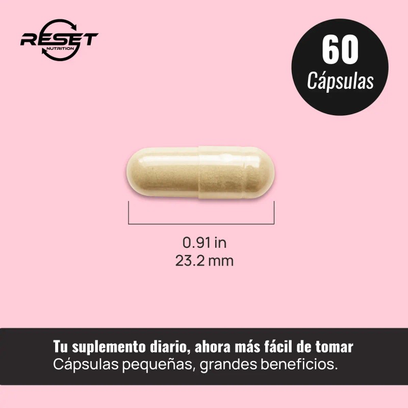 Reset Nutrition Carnitina 500mg Quema Grasa Energia 60cáps Sabor