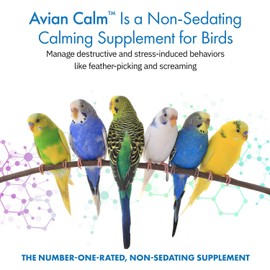 Equa Holistics Avian Calm™ Dietary Supplement for Parrots, All-Natural Calming Supplement (120 Servings)
