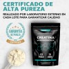 Creatina Monohidratada Micronizada en Polvo | Pre Workout - 100%