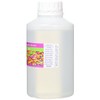 Cupcake World Intense Food Flavouring, Apple, 500 ml