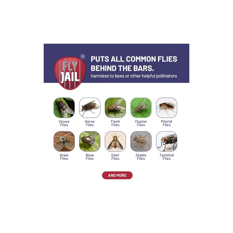 Long Jar Reusable Fly Trap with Attractant Baits