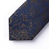 Hisdern TP-01S Men’s Paisley Pattern Necktie and Square Set, Business,