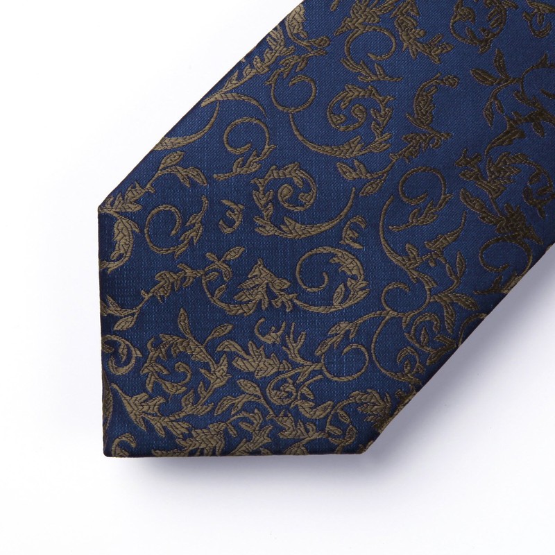Hisdern TP-01S Men’s Paisley Pattern Necktie and Square Set, Business,
