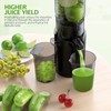 Juicer Machines with 5.4" Extra Large Feed Chute, Cold Press