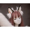 Fxaelian Comic Fox Cat Dog Wolf Tail and Ears Headband