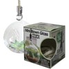 Mini Blown Glass Hanging Terrarium-