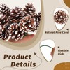 20 Pieces Christmas Pine Cones Decorations Picks, 2 Inch Natural
