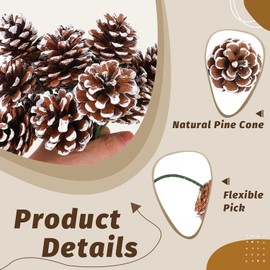 20 Pieces Christmas Pine Cones Decorations Picks, 2 Inch Natural Pine Cones Snow Tipped with Wired Picks White Craft, for Xmas Tree Garland Wreath Ornaments Pinecones Decorating