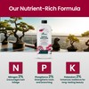 16oz Bonsai Fertilizer Liquid - Makes 96 Gallons of Bonsai