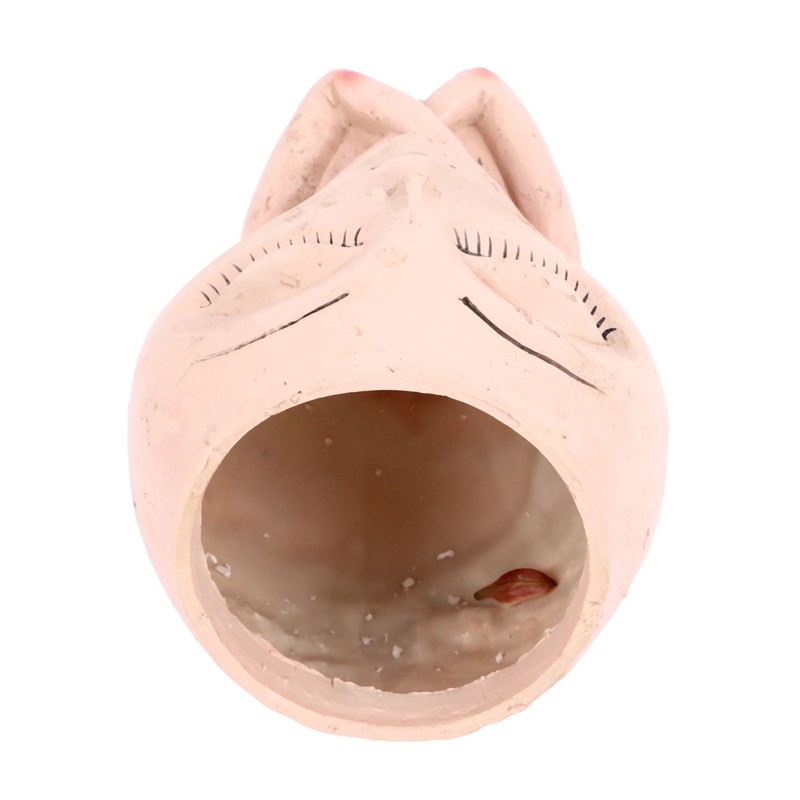 Face Head Planter Succulent Plant Flower Pot Resin Container Face