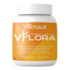 Vsouls Vflora Probioticos Prebioticos Polvo 500