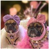 Leap Raupe Dog Pet Cosplay Turban Hair Band Ribbon One