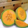 Park Seeds Sugar Cube Melon Cantaloupe, Succulent and Sweet, Pack of 15 Seeds