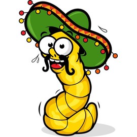 Zirni Tequila Worm Sombrero Mexico Drink Cartoon Sticker Decal Design