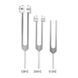 2Pcs 256Hz, Stainless Steel Tuning Forks Tone Tool for Musical Instruments Acoustic Experiments Hearing Testing Bone Conduction Tests Violin Guitar Tuner Device