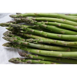 The Gardening World 100 Organic MARY WASHINGTON Asparagus Seeds Heirloom