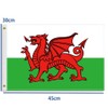 12×18 inch Welsh Flag, 30×45 CM Small 100D Welsh Nautical