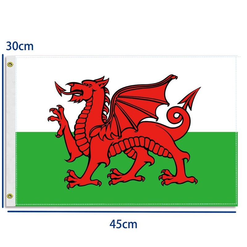 12×18 inch Welsh Flag, 30×45 CM Small 100D Welsh Nautical