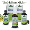 Natures Answer Jarabe Vías Respiratorias Mullen-X Sin Sabor 120ml