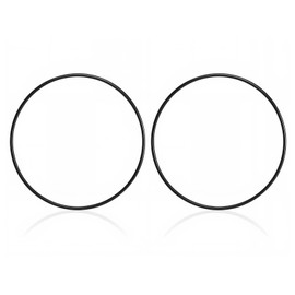 154493 O-Ring,Replacement O-Ring Closure for Pentair Tagelus and Triton Pool/Spa Sand Filter（2PCS）