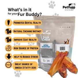 Water Buffalo Ear with Meat Dog Chew - Pack of 20