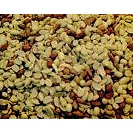 Alpine Ingredients RAW Peanut Shelled Peanuts 50 Lb