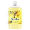 Coccolino Fabric Softener Floral 1 Unit 1.7 L
