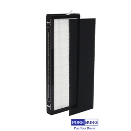 PUREBURG AH60010 Replacement Filter Compatible with Hoover WH10100 WH10200 & Oreck AK60010QPC Air Purifiers,2-Pack H13 True HEPA Air Clean Dust