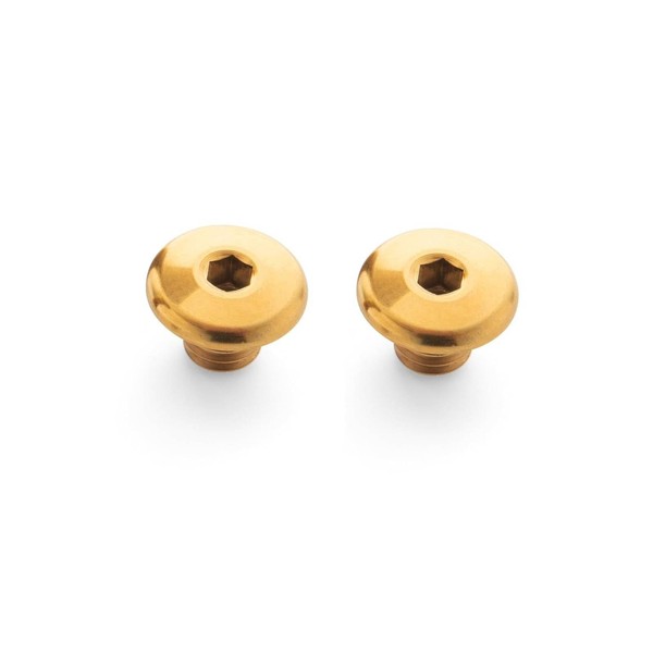 RISON-Titanium Set of 2 Titanium Bicycle Brake Lever Screws Set,