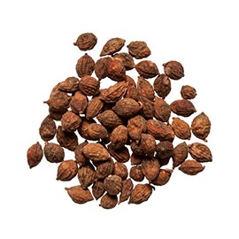 Plum Dragon Herbs Yi Zhi Ren Chinese Herb | Alpinia Fruit |Galangal | Alpinia oxyphylla Miq - Tonifies Kidney Yang - Pure Chinese Herb (1 Oz)