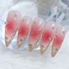 Rose Jungle Wedding Handmade Nail Tips - Stiletto / 장미