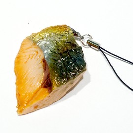 Food Sample Strap 028TS