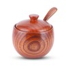 Jwthee Salt Cellar with Lid and Spoon, 2PCS Wood Salt