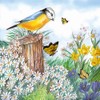 20 Napkins Bird Watching Spring Events Blue Tit Flowers Spring