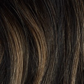 Off Black Bronde Balayage Single Hair Color Sample