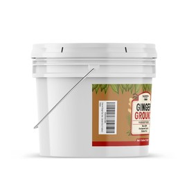 Unpretentious Ground Ginger, 1 Gallon Bucket, Indian & Asian Cuisine, Bulk Bucket Size