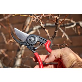 Corona BP 3640 Forged Steel ErgoACTION Angled Bypass Hand Pruner - 3/4 inch Cut Capacity Stem and Branch Garden Shears, Red