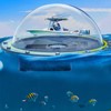Dome Port IP68 98.4ft Waterproof Underwater Diving Lens Cover Housing